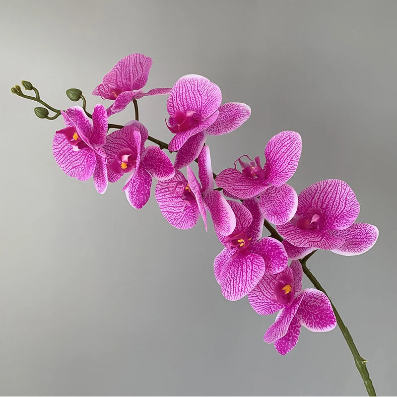 Realistic Textured Artificial Phalaenopsis Orchid Flowers; Perfect for Family, Wedding Decor, and DIY Ornaments.