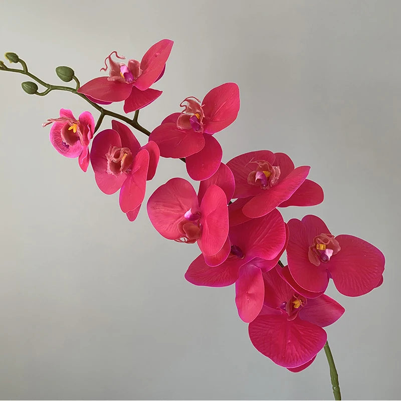 Realistic Textured Artificial Phalaenopsis Orchid Flowers; Perfect for Family, Wedding Decor, and DIY Ornaments.