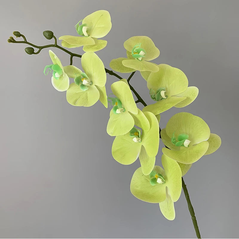 Realistic Textured Artificial Phalaenopsis Orchid Flowers; Perfect for Family, Wedding Decor, and DIY Ornaments.